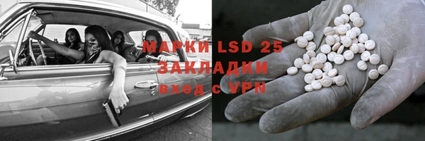 шишки Белокуриха