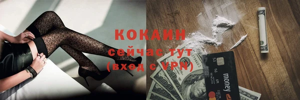шишки Белокуриха