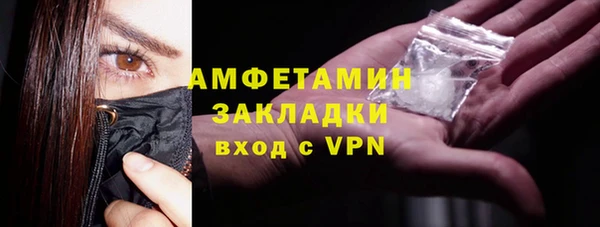 шишки Белокуриха