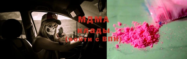шишки Белокуриха