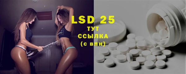 шишки Белокуриха