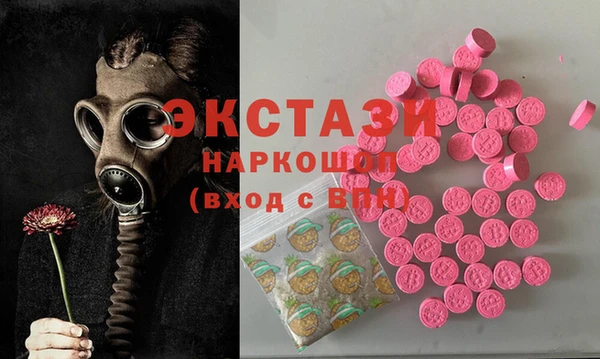 шишки Белокуриха