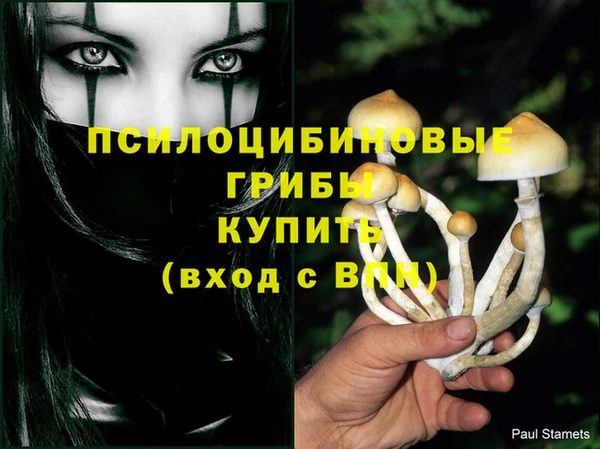Альфа ПВП Белоозёрский