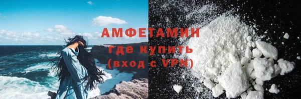 шишки Белокуриха