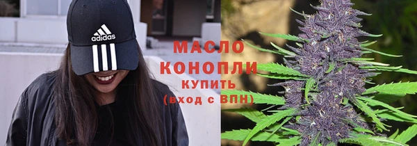 шишки Белокуриха
