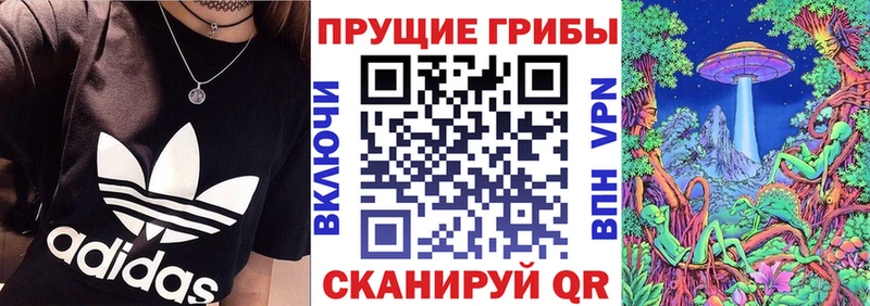 Галлюциногенные грибы Psilocybine cubensis  Купить  Мантурово 